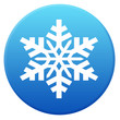 fiocco di neve