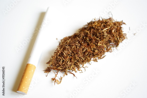 Photo: Tabac Tabac