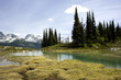Alpine Lake Vista, Whistler, Canada Alpine Lake Vista, Whistler, Canada