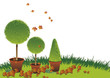 Topiary in Autumn