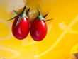 Organic red Tomato wit yellow background for isolation