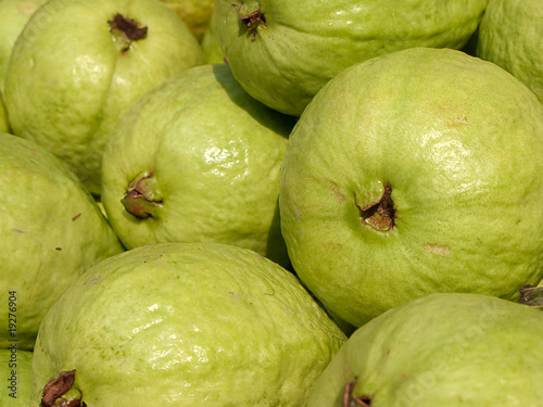 Photo: Organic Green Crabapple Organic Green Crabapple