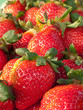 Organic Strawberry