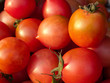 Organic red Tomato