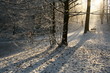a spasso nel parco