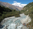 Torrent