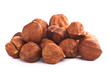 Hazel-nut