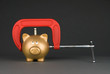 Photo: Piggy bank being squeezed Piggy bank being squeezed