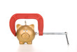 Photo: Piggy bank being squeezed Piggy bank being squeezed