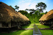 Junglecamp