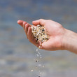 Sand scatter from palm Sand scatter from palm