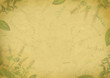 Herbal background on old paper