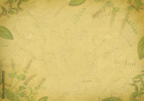 Herbal background on old paper Herbal background on old paper