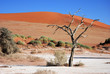 Sossusvlei