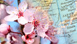 Printemps d'Orient