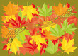 autumn leaves and musical notes