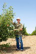 Farmer at orchard