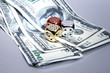 Foto: dice dollars money risk dice dollars money risk