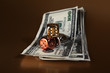 Foto: dice dollars money risk dice dollars money risk