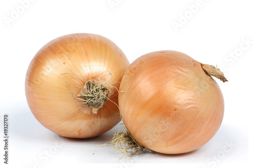 Photo: two onions closeup white background two onions closeup white background