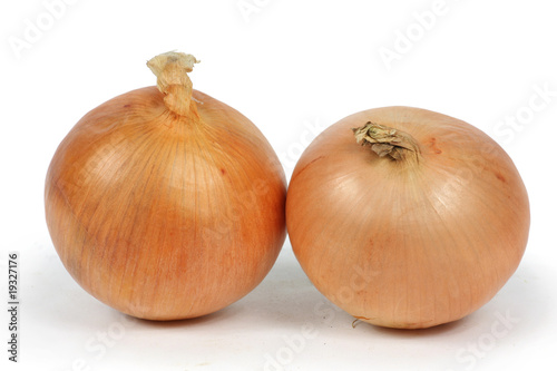 Photo: two onions closeup white background two onions closeup white background