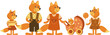 fox