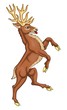 Stag vector