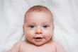 3 month baby