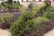 Kraeutergarten
