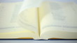 Book scrolling slow