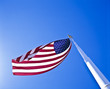 U.S.A Flag U.S.A Flag