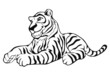 tiger-mediapositiv