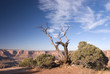 Canyonlands National Park, Utah
