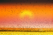 Photo: Bird Land Sunset Fine Art Photography Print Bird Land Sunset Fine Art Photography Print