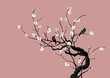 sakura and birds