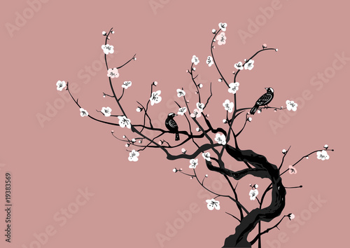 Sakura And Birds