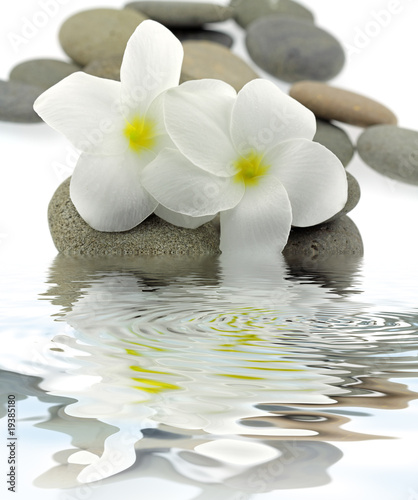 Photo: décor zen frangipanier galets reflets décor zen frangipanier galets reflets