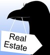 Illustration of real estate board in a bird’s beak