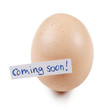 Egg with label 