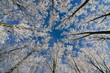 Wintermärchen 5