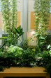 a green atrium