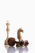 chess knights