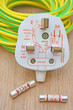 Elecetrical plug with diagram