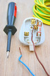 Electrical plug and bare wires.