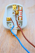 Electric plug with loose wires