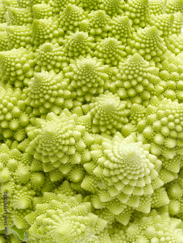 Foto: Romanescu Romanescu