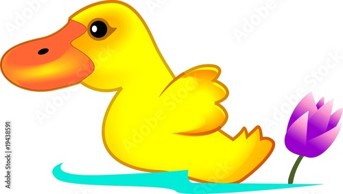 Illustration: Illustration of duck and lotus flower Illustration of duck and lotus flower