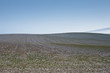 fields horizon fields horizon