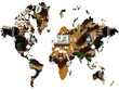 electronic world