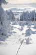 Drachenflieger in Winterlandschaft